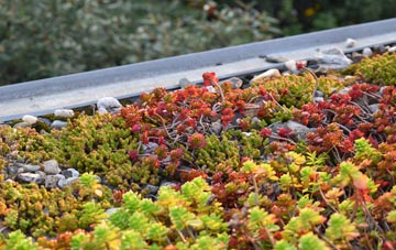 the cost of Burton Overy green roof installation