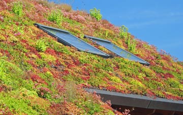 Burton Overy living roof systems